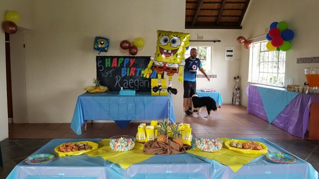 Sponge